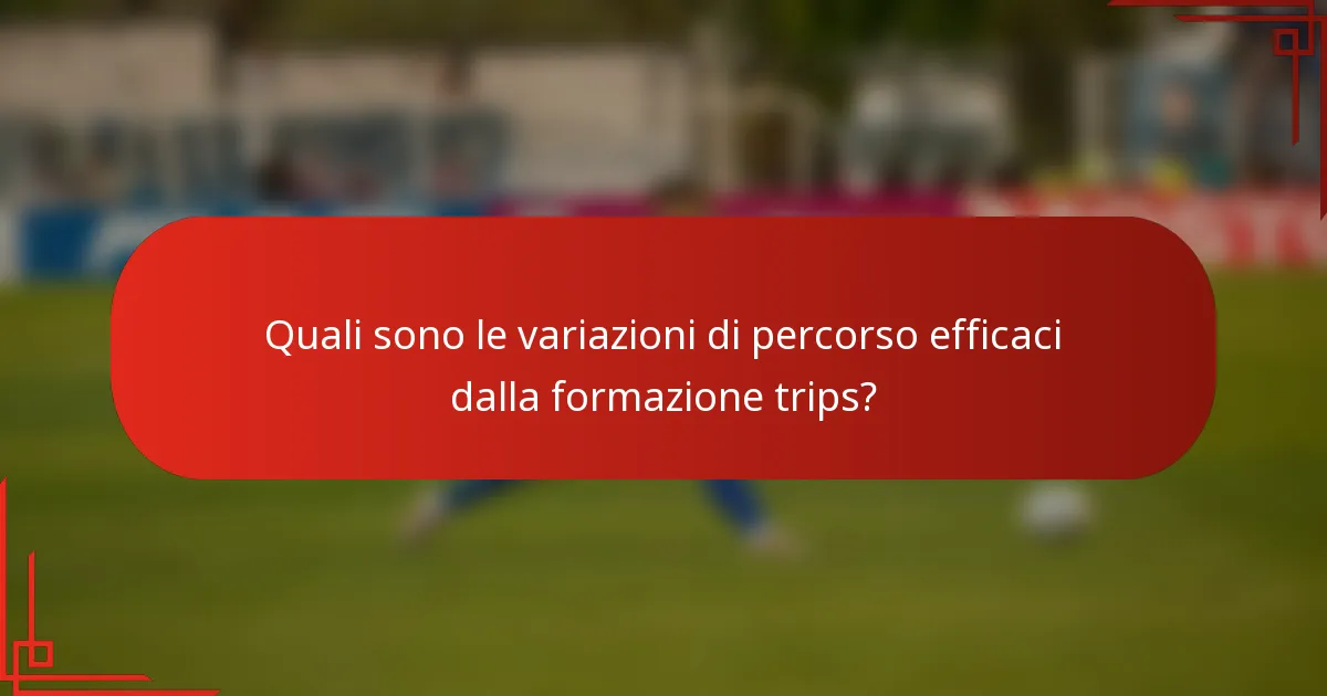 Quali sono le variazioni di percorso efficaci dalla formazione trips?